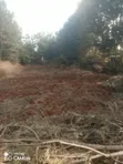Eneo la 1/2 Acre kwa Uuzaji Kiukenda, Kaunti ya Kiambu - 2