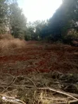 Eneo la 1/2 Acre kwa Uuzaji Kiukenda, Kaunti ya Kiambu - 3