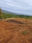 8 Acres Prime Land for Sale, Kabuta, Murang'a County - 2