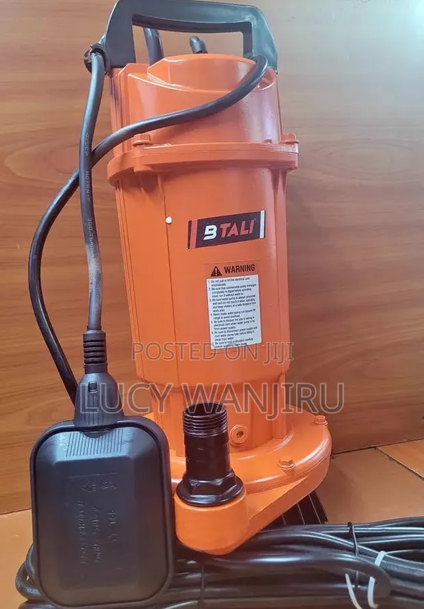 1 Inch Submersible Pump QDX Pump - 1