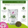 PCOS Herbal Tea - 4-Week Spearmint Loose Leaf - 3