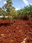 2.2 Acres Commercial Land for Sale, Maragua-Kaharati - 4