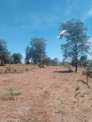 3.6 Acres Land for Sale in Masii-Kitooni, Yoani Village