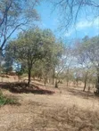 3.6 Acres Land for Sale in Masii-Kitooni, Yoani Village - 3