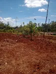 .9 Acres Commercial Land for Sale at Kaharati - 1