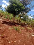 .9 Acres Commercial Land for Sale at Kaharati - 2