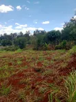 1 Acre Commercial Land for Sale at Kaharati - 2