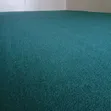 Carpet ya Emerald Green Delta Wall-to-Wall (4mm) - 1