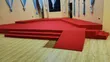 Delta Wall-to-Wall Carpet - 4mm Thick - 2