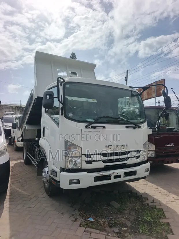 Isuzu Forward Tipper 2021 - Nyeupe - 1