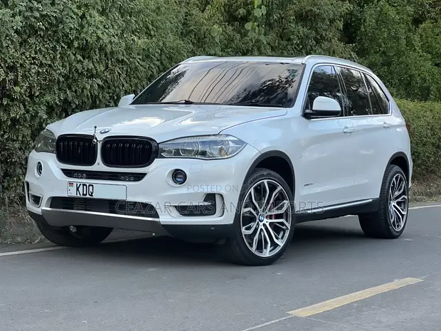 BMW X5 xDrive35d AWD 2016 Nyeupe Mfumo wa Laini - 1