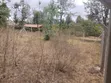 Kitalu Bora cha 50x100 Kaurrai, Upper Matasia - 1