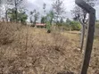 Kitalu Bora cha 50x100 Kaurrai, Upper Matasia - 5