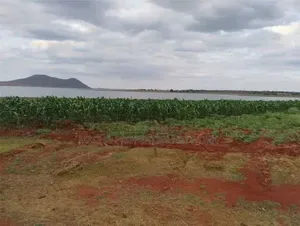 5 Acres Red Soil Land - Masinga, Near Dam