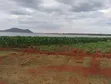 Eneo la Eka 5 Udongo Mwekundu - Masinga, Karibu na Bwawa - 1