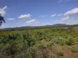 Eka 100 Zinauzwa Maili Tisa, Kaunti ya Kajiado - 1