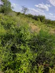 Eka 100 Zinauzwa Maili Tisa, Kaunti ya Kajiado - 3