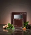 Calvin Klein Euphoria Men Eau de Toilette - 1
