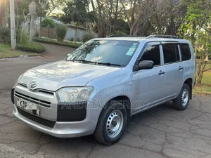 Toyota Probox 1.5 DX 2WD 2017 Silver