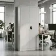 Office Cabinet | 2-Door Full Metallic Storage - 4