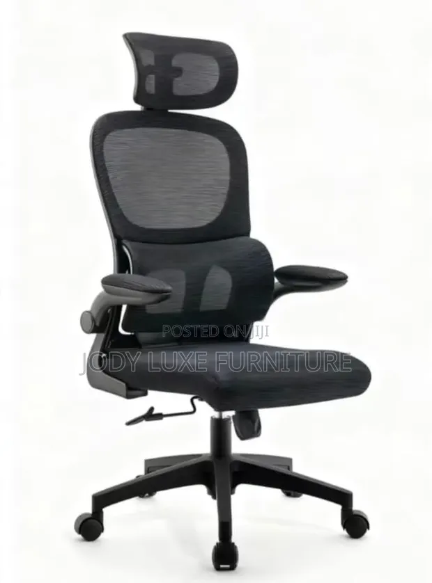 Executive Office Chair with Headrest - Boss Ergonomic - 1