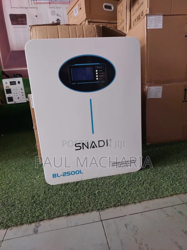 SNADI BL-25.6V-100AH-01 Lithium Iron Phosphate Battery - 1