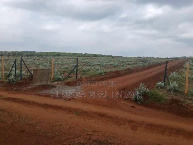 Vipande 50x100 vya Uuzaji Kikuyu Nachu - 1
