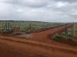 Vipande 50x100 vya Uuzaji Kikuyu Nachu - 1