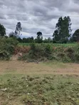 Vipande vya Ardhi Vinauzwa Nanyuki Highway - 2