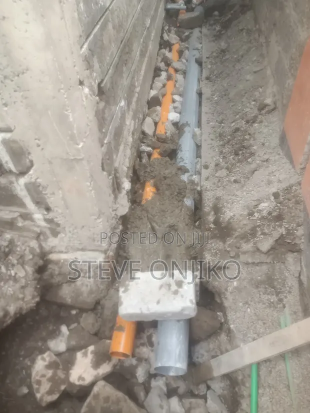 Professional Plumbing Services - 1