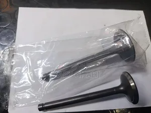 Valve za Outlet na Inlet za Toyota Land Cruiser 79