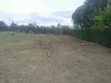 Eneo la 1/2 Acre Linauzwa Karibu na Barabara ya Nanyuki-Nyeri - 4