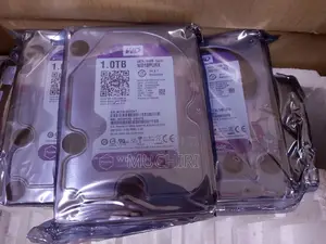 1TB Surveillance HDD for Security Systems