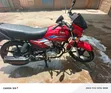 TVS HLX 125cc Mpya - 2024 - 2