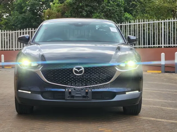 Mazda CX-30 2020 Blue - 1