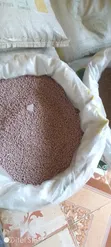 Mbolea ya 17:17:17 NPK kwa ajili ya Topdressing - 1