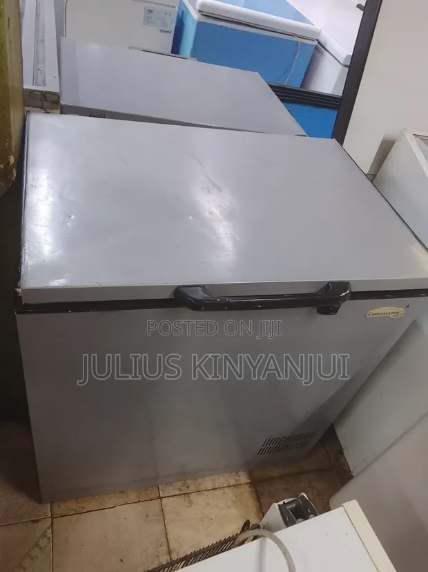 Ramtons Deep Freezer 270L Chest - 1