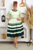 Skater Stripped Dress - 5