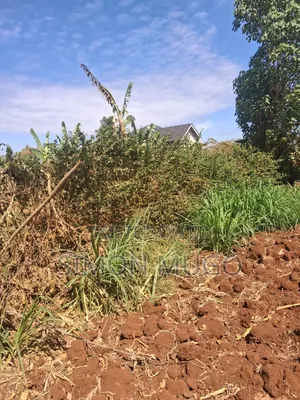 Ruiru Mugutha Prime Plot - 100x125 Red Soil