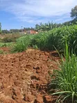 Ruiru Mugutha Prime Plot - 100x125 Red Soil - 2