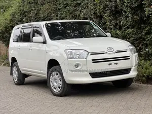 Toyota Probox 1.5 DX Comfort 4WD 2020 Nyeupe