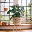 Seti ya Vituo vya Mimea vya Boho Rattan vya 3 - 2