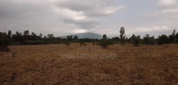 Kitalu Bora cha 50x100 Munyu, Gatuanyaga, Thika - 1