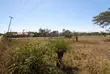 Kitalu Bora cha 50x100 Munyu, Gatuanyaga, Thika - 4