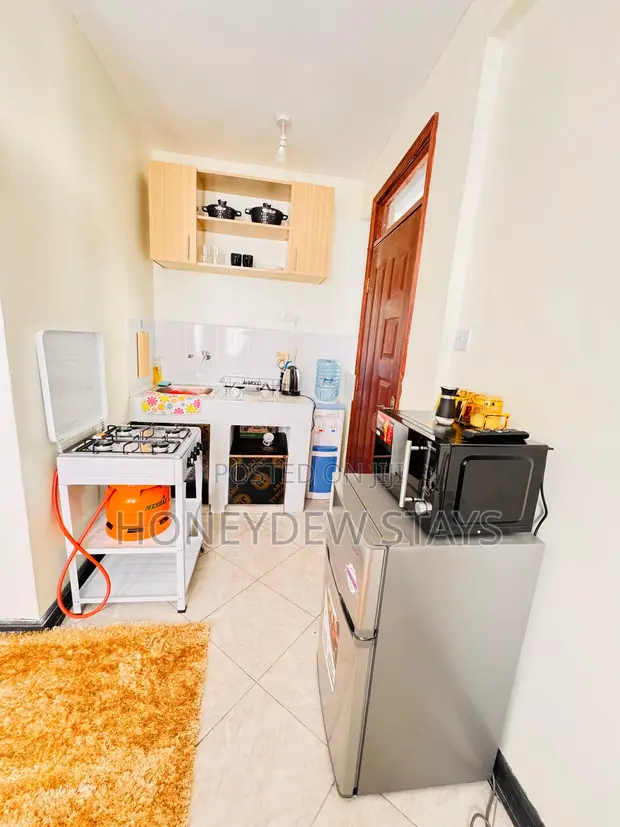 Furnished Studio & 1 Bedroom Airbnb Apartments in Milimani Kisumu - 1