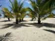 Prime Half Acre Beachfront Plot in Galu Kinondo - 4