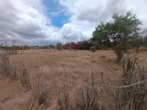 50x100 Residential Plots for Sale in Malaa
