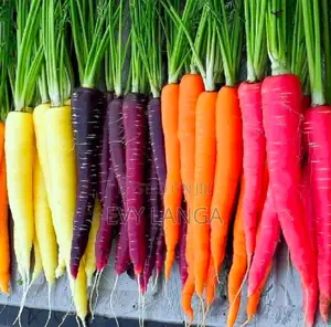 Premium Rainbow Carrot Seeds - Purple, Yellow, Orange