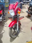 TVS HLX Plus ES 2024 Nyekundu - 4