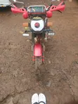 Captain CP150-10 2019 Red - 3